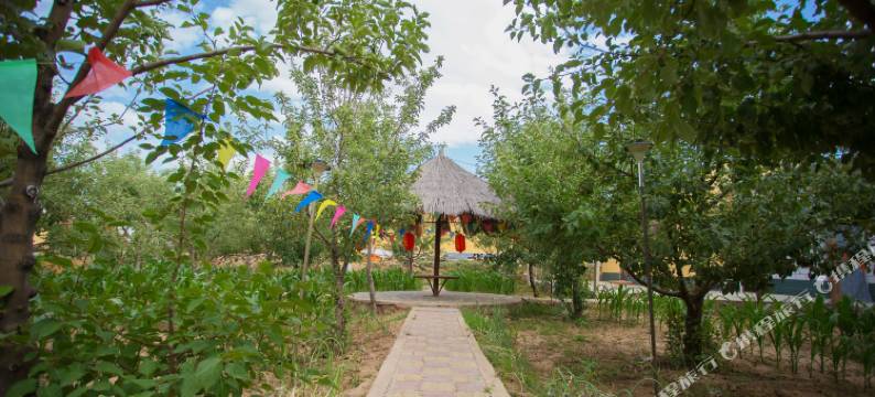 中卫童家乐园图片