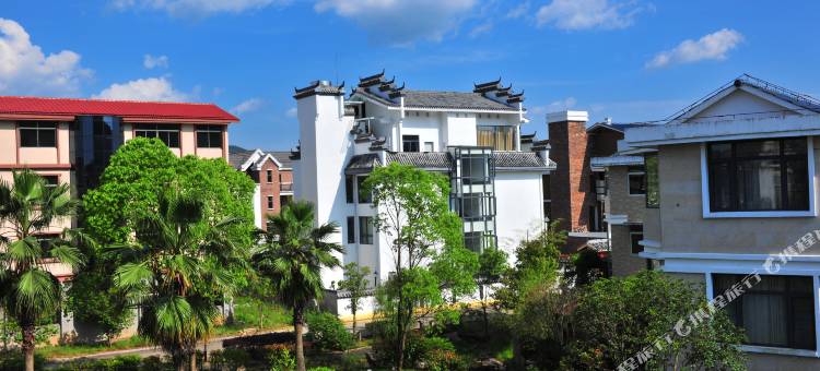 武夷山茗影轩茶与摄影主题客栈图片