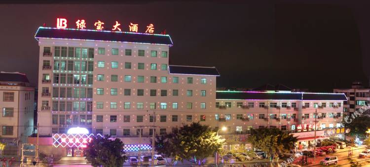 东方绿宝大酒店(三角公园店)图片