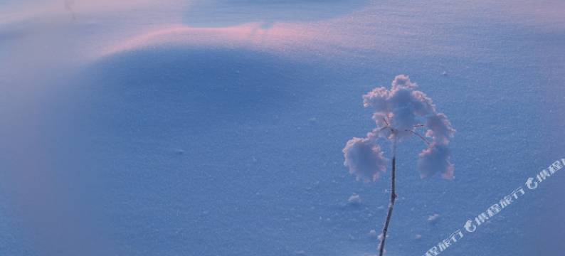 雪乡杜运生家庭旅馆图片