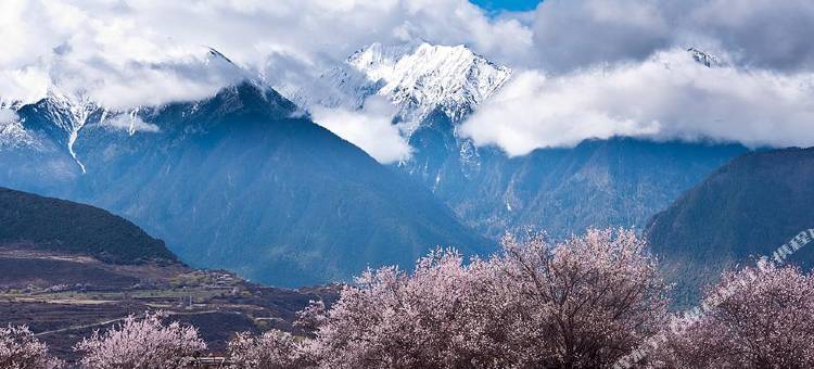 林芝工布庄园希尔顿酒店图片