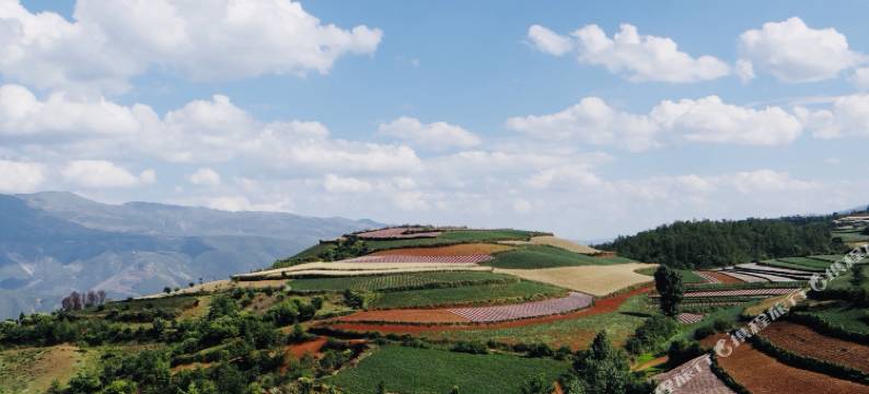 昆明红土高原酒店图片