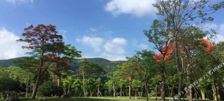 深圳水猿民宿上横岗店图片