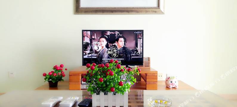 优雅公寓(南宁洛春路店)图片