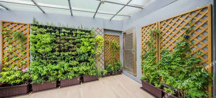 高雄旅悦国际青年旅馆图片