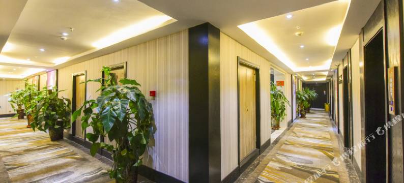 西宁比邻酒店图片