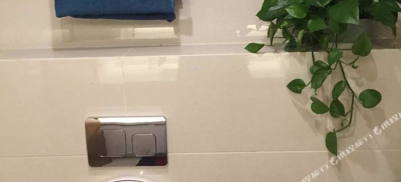 上海会所式民宿图片