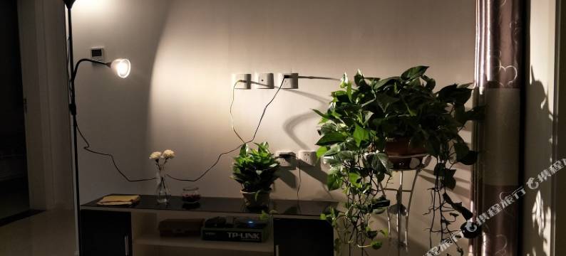 西安温馨一室回民街普通公寓图片