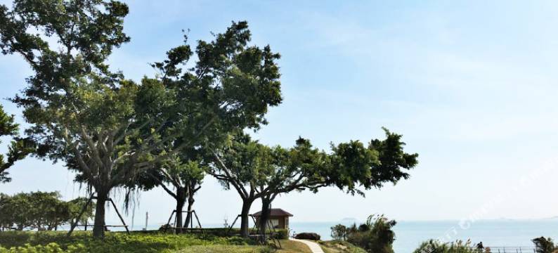 厦门燕栖民宿图片