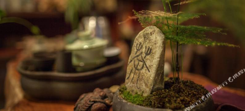 西塘忆水阑庭民宿图片