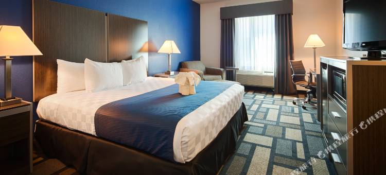 佳乐利亚泉景贝斯特韦斯特套房酒店(Best Western Galleria Inn  Suites)图片