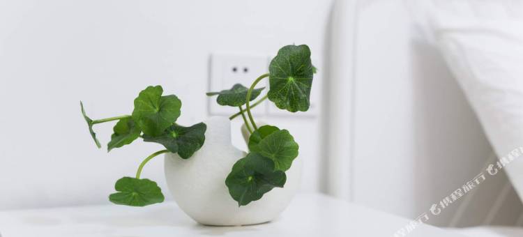 杭州西子婆婆普通公寓图片