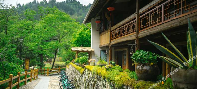 景宁伏源一叶客栈图片