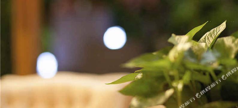 西木花园酒店(西安回民街钟楼地铁站店)图片