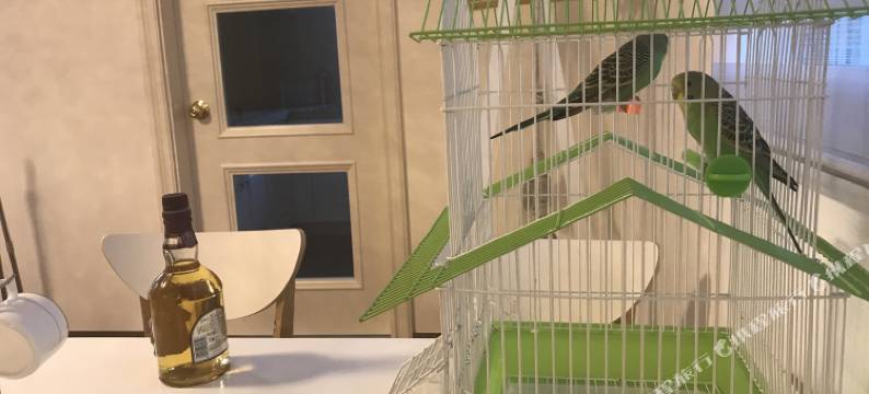 怀来肖敏别墅图片