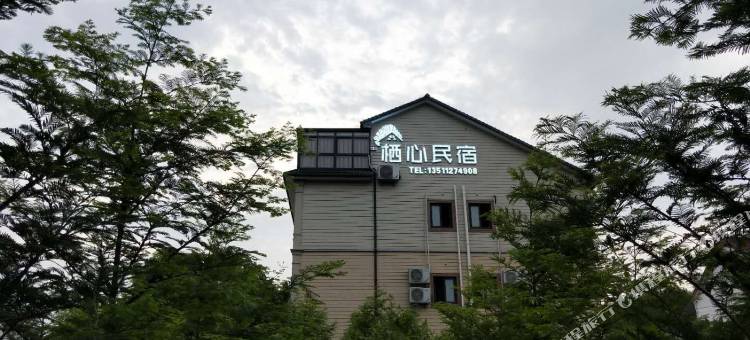 安吉山野泳池·栖心民宿图片