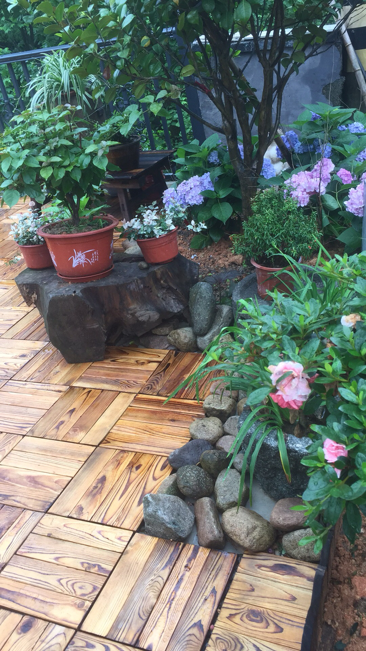 Frank Homestay Over view