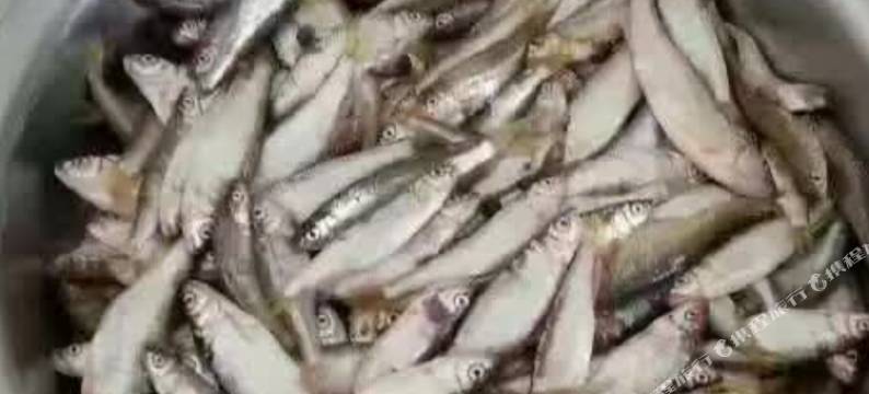 北京十渡二英农家院图片