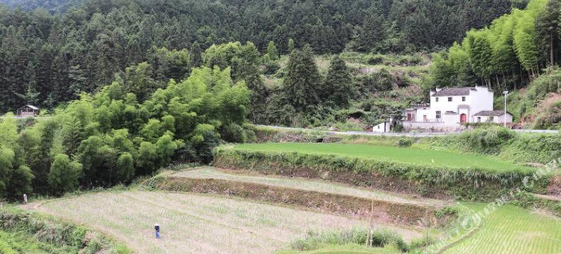 婺源婺隐居民宿图片