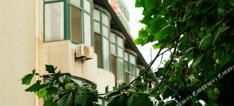 大连江城旅馆图片