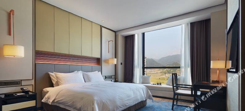 景宁天元名悦大酒店图片