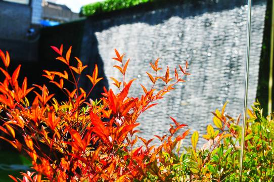 悦享酒店(西安回民街教厂门店)