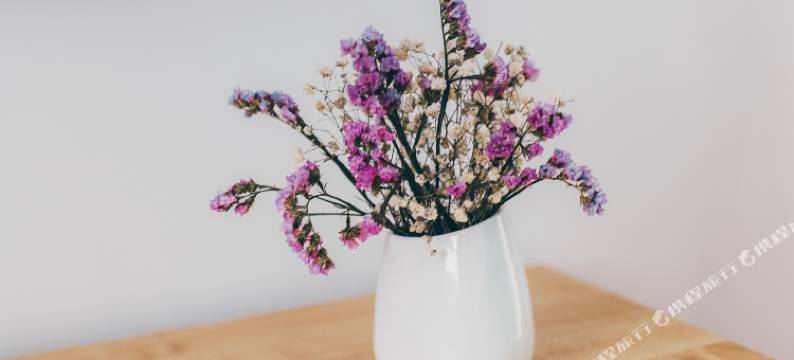 君越富氧酒店(布达拉宫店)图片