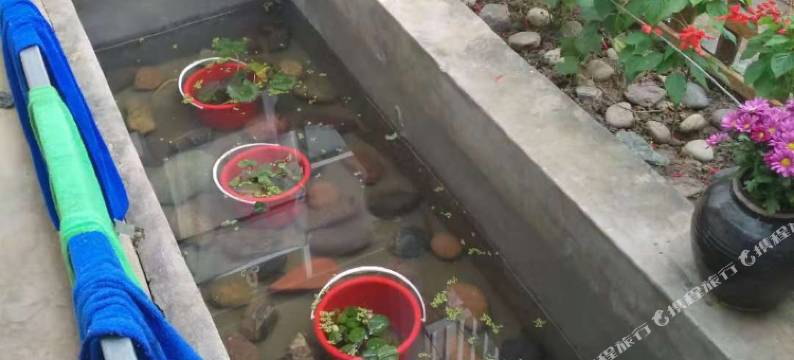 百里山水画廊乡土雅居客栈图片