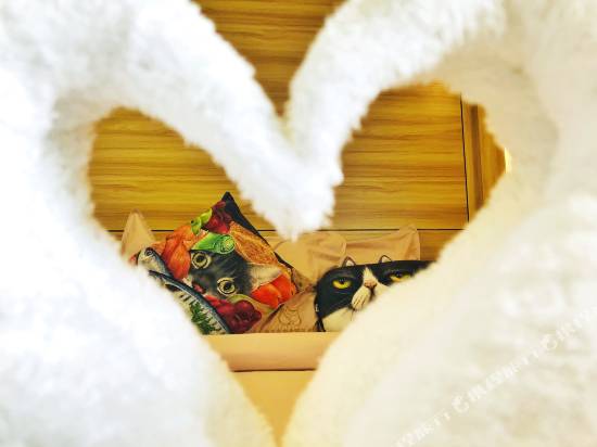 普吉島貓舍精品酒店