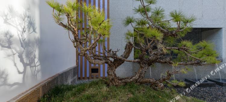 花筑·沁园轻奢客栈(丽江古城旗舰店)图片
