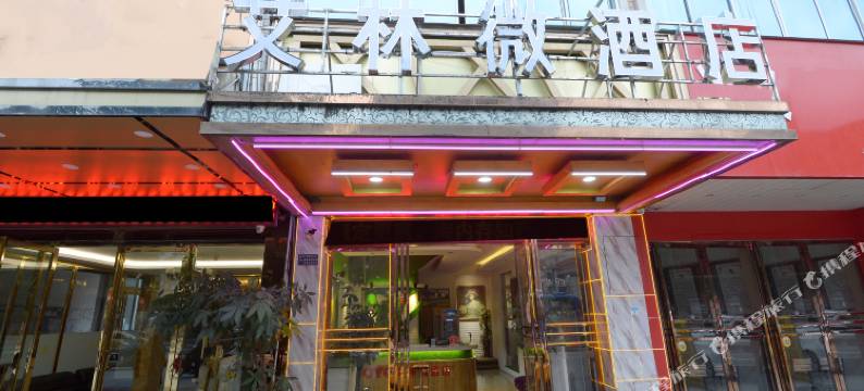 河池艾林微酒店图片