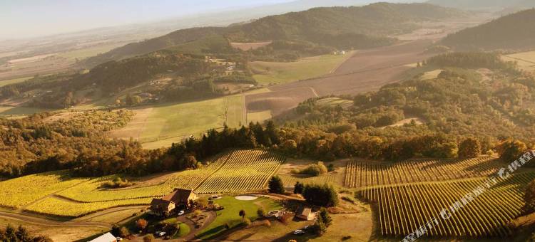 青年堡山酒店(Youngberg Hill)图片