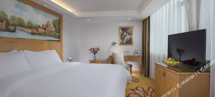 维也纳酒店(肇庆四会中心玉博城店)图片