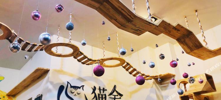 普吉岛猫舍精品客栈(Phuket Cathouse Boutique Inn)图片