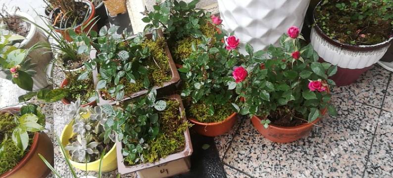 缙云乡村逸居客栈图片