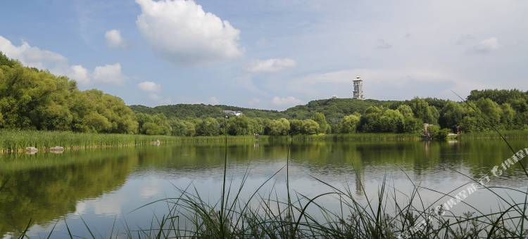 素态负氧离子酒店(长春净月大学城店)图片