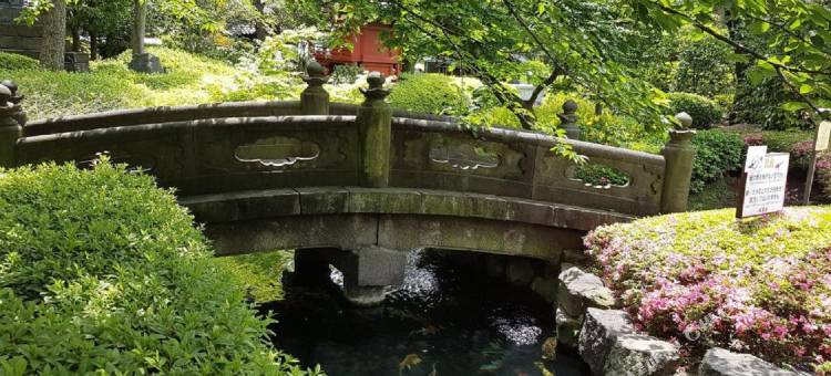 田端王子酒店(Tabata Oji Hotel)图片