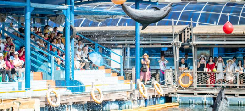 海南分界洲岛海钓会所图片