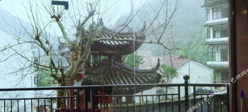 桐庐沈园好久不见民宿图片