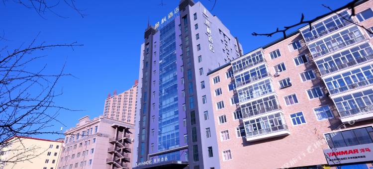 麗枫酒店(哈尔滨冰雪大世界龙川路地铁站店)图片