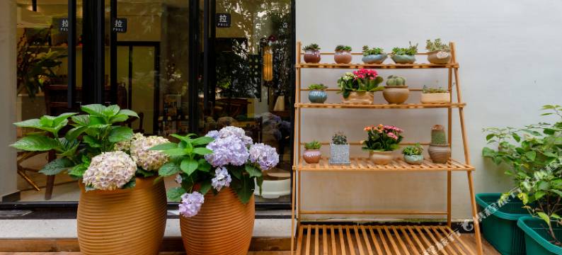 珠海观琴民宿(长隆旅游度假区店)图片