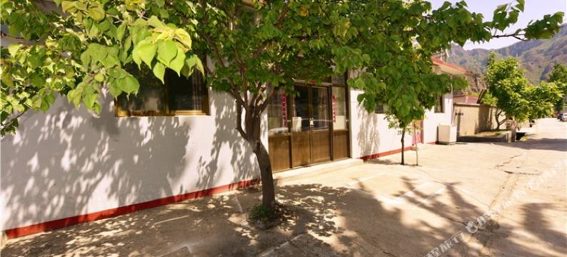 十渡满天星农家院图片