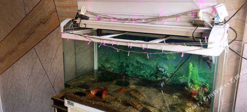 十堰金桥客房图片