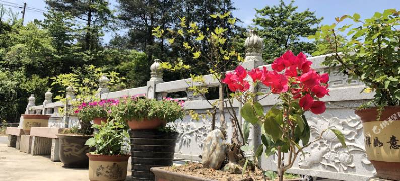 九华山福轩山庄图片