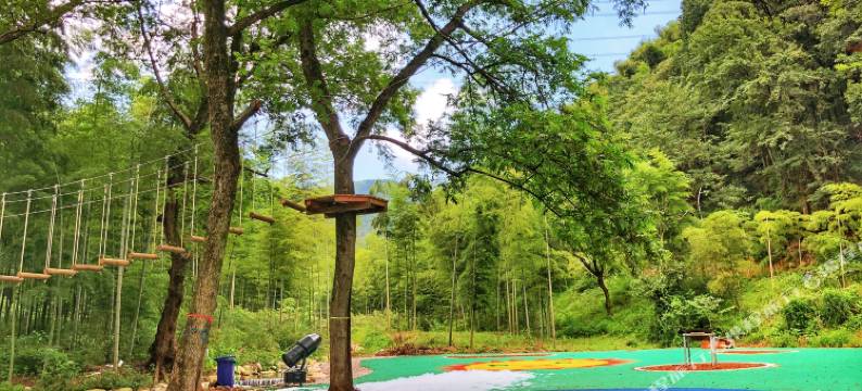 宣城丽禧·亲心谷度假酒店图片