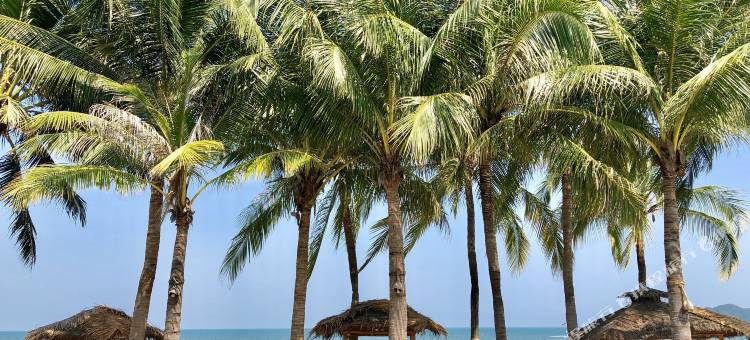 海豚湾海滩度假村(Dolphin Bay Beach Resort)图片