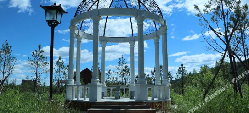 漠河蓝孔雀酒店(北极村店)图片