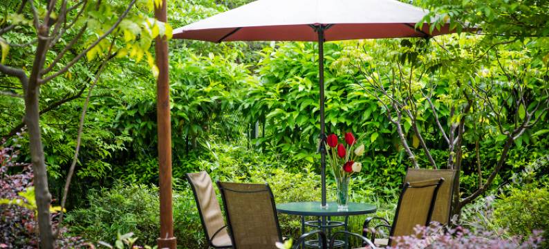 梦斯帕温泉度假别墅(广州增城白水寨店)图片