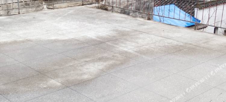 婺源银杏人家图片