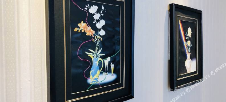 大同美雪人公寓图片